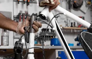 GYM Maintenance Services